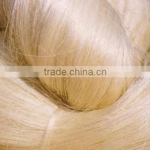 2016 HOT SELL!! SISAL FIBER/ UG GRADE RAW SISAL FIBER/SISAL FIBER thumbnail-2