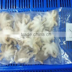 IQF Octopus Whole Cleaned thumbnail-3