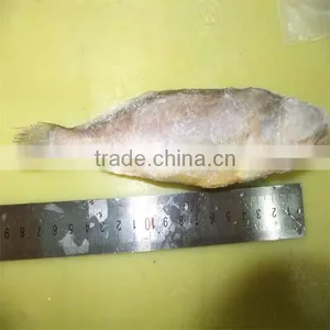 China Yellow Sea Fish thumbnail-1