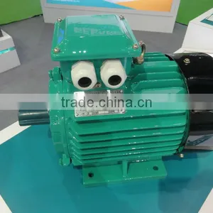 Cast Iron IE1 Three Phase Electric Motor thumbnail-6