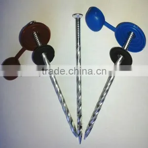 Polished Decorative Flooring Nails With Washers thumbnail-3