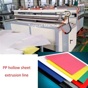 PP Hollow Sheet Extrusion Line thumbnail-1