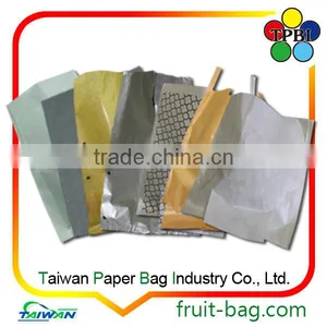 Carambola Paper Star Fruit Growing Paper Bag thumbnail-4