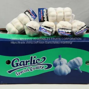 Fresh Garlic/White Garlic thumbnail-1
