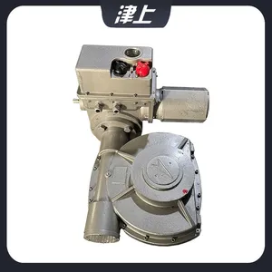 B+RS250/K28Z Angle Stroke Actuator thumbnail-5