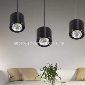 Hanging Adjustable COB LED Down Lights (12W) thumbnail-1