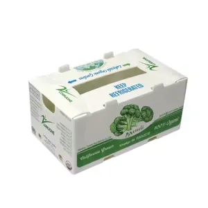 Waterproof Corrugated Plastic Produce Boxes Wholesaler From China thumbnail-1