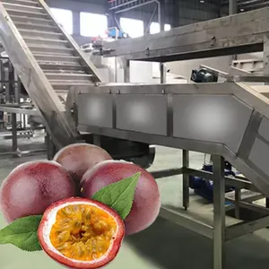 Passion Fruit Pulp Processing Production Line thumbnail-6