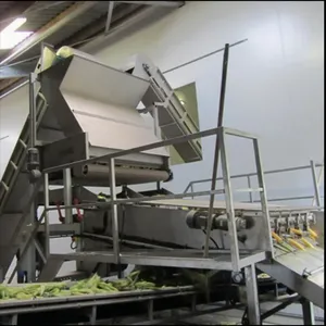 Custom Design Available Sweet Corn Processing Machines Corn Processing Equipment Canned Sweet Corn Processing Machine thumbnail-5