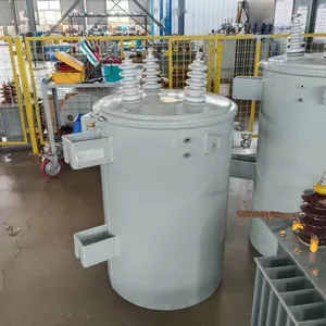 11kV Single Phase Transformer 35kVA for Solar Farm Grid Connection thumbnail-3