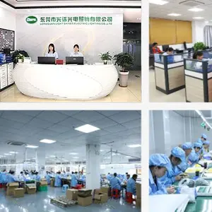 Dongguan Light Shines Electric Lighting Co.,Ltd. company overview - view 1 thumbnail