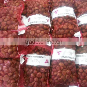 Fresh Chestnut thumbnail-1
