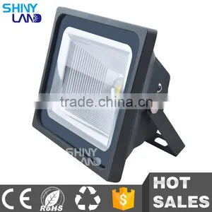 High Lumen Outdoor 50W COB LED Floodlight 100 Watt LED Flood Light thumbnail-4