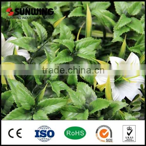 Decorative Topiary Boxwood Flower Grape Vine Plant thumbnail-1