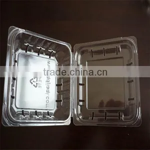Blueberry Plastic Fruit Container thumbnail-3