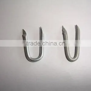 Barbed U-shape Nails/Square Bottom U Shaped Nail (ISO9001) Quality Choice thumbnail-2