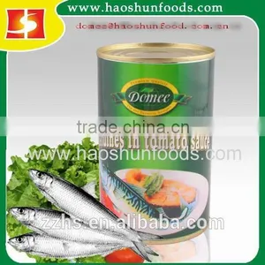 Canned Sardines Factory thumbnail-3