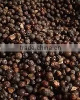 Juniper Berry Oil From Juniperus Communis thumbnail-1
