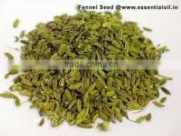 Fennel Oil (Foeniculum Vulgare) thumbnail-2