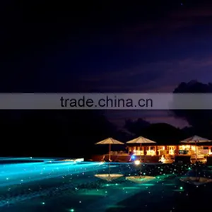 End Glow Fiber Optic Twinkle Star Ceiling Kits for Swimming Pool thumbnail-6