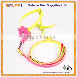 Colorful Pet Collar and Leash Nylon Pet Products New Design Pet Collar, Sell Well Dog Leash thumbnail-4