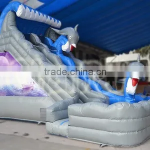Magical Sea Wave Inflatable Water Slide Wih Pool, Commercial Inflatable Dolphin Water Slide thumbnail-2