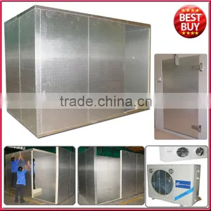 30m3 Cold Storage Room With Embossing Aluminum Panels thumbnail-1