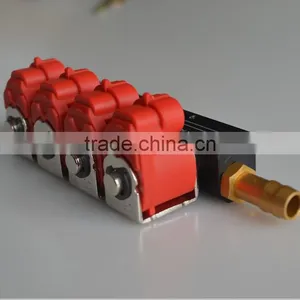 Cng Lpg Injector Rail in Car Fuel System thumbnail-2