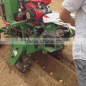 Two Row Transplanting Onions by Hand in China thumbnail-6