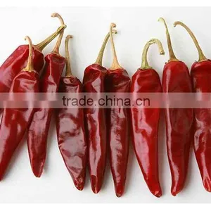 Chillies Whole and Grounded thumbnail-1