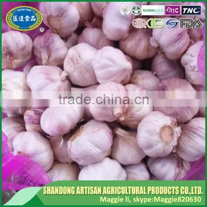 White Garlic,wholesale Garlic thumbnail-1