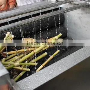 MSTP-80 Automatic Ginger Peeler,shallot Peeling Machine ,fish Skin Removing Machine With Stainless Steel CE Approved thumbnail-5