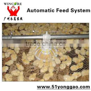 Automatic Poultry Pan Feeding System for Broiler Farm Equipment thumbnail-3