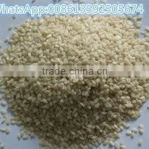 Best Selling High Quality Peanut Oil Press Machine / Oil Press Machine for Low Peice thumbnail-4