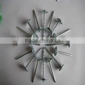 Umbrealla Nail With Roofing Head and Thread Nail Body thumbnail-3