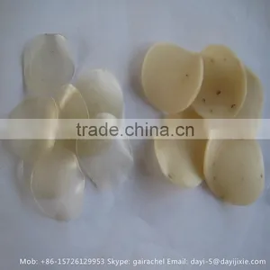 Fried Papad Making Machine 3D Pellet Snack Machine thumbnail-2