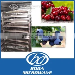 Food Grade Stainless Steel Dryer Hot Air Convection Oven Vegetable and Fruit Drying Equipment thumbnail-4