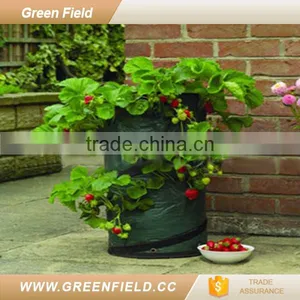 Grow Bags Strawberry Garden Products Used Nursery Pots 2017 New thumbnail-1