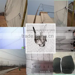 Invisible Agricultural Bird Netting / Plastic Bird Wire Mesh thumbnail-1