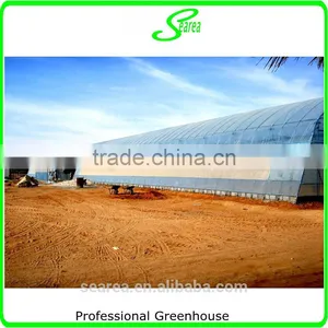 100x8m Agricultural Plastic Tunnel Greenhouse for Sale thumbnail-3