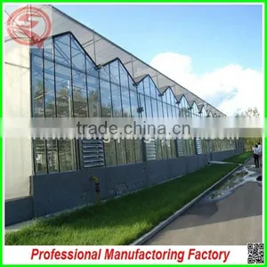 Agriculture Farm 16m Multi-span Glass Galvanized Steel Frame Greenhouse for Tomato thumbnail-4
