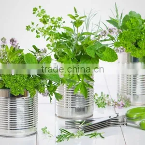 Galvanized Herb Planter | Galvanized Hanging Metal Flower Planters for Home thumbnail-2