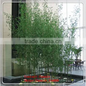 LF092505 Artificial Plants Artificial Bamboo Plant/aquarium Decoration Bamboo Chinese Bamboo Plant thumbnail-1