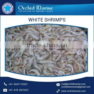 Premium Quality Natural Taste White Shrimps With Long Shelf Life thumbnail-2