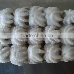 Baby Octopus Whole thumbnail-1