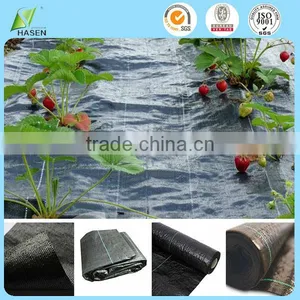 Agricultural Weed Control PP Non Woven Black Plastic Ground Cover thumbnail-1
