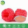 Raspberry Juice Powder thumbnail-1