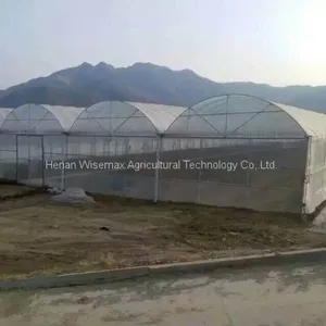 Large Size Plastic Film Multi Span Agricultural Greenhouses thumbnail-4