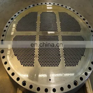 Custom Carbon Steel, SS 304/316 Forged Tubesheet, Baffle, Heat Exchanger Tube Sheet thumbnail-2