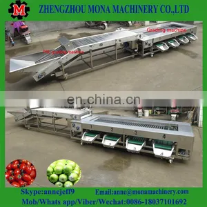 3ton/h Food Grade Industrial Fruit Fish Cassava Fruit Washing Grading Waxing Machine thumbnail-6